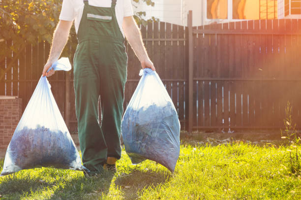 Best Shed Removal  in Littlefield, TX